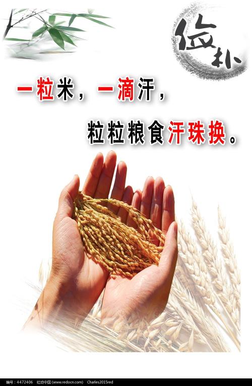 瑞德福大学文凭毕业证作假